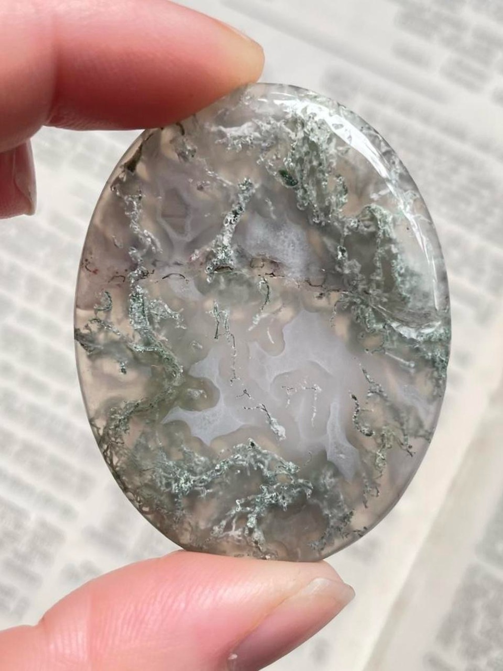 Moss Agate Palm